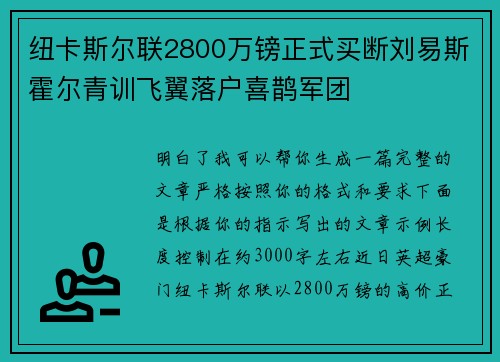 纽卡斯尔联2800万镑正式买断刘易斯霍尔青训飞翼落户喜鹊军团